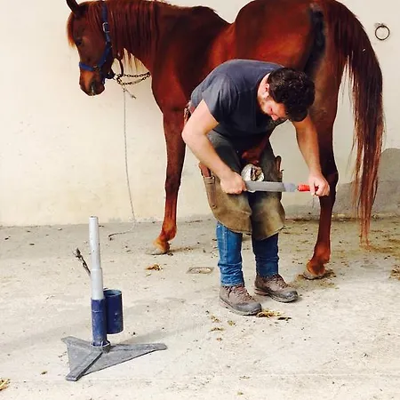 ファームステイ Agriturismo Manierocerulli